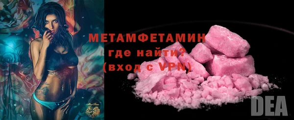 индика Осинники