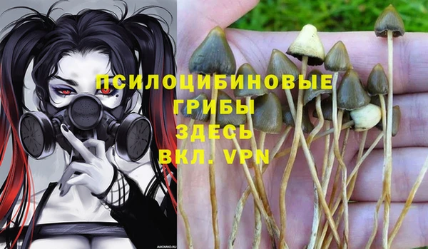 герыч Верхний Тагил