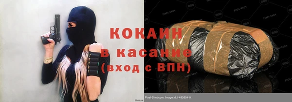 индика Осинники