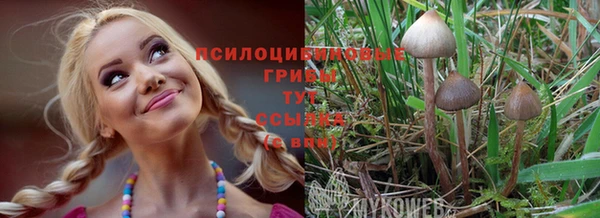 ПСИЛОЦИБИНОВЫЕ ГРИБЫ Бородино