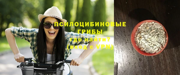ПСИЛОЦИБИНОВЫЕ ГРИБЫ Бородино