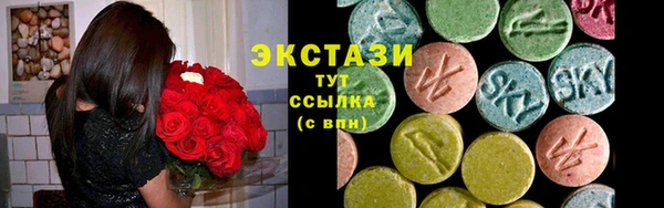 индика Осинники